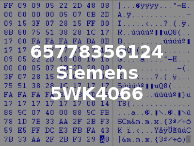 65778356124 Siemens 5WK4066