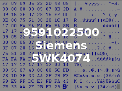 9591022500 Siemens 5WK4074