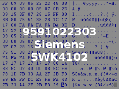 9591022303 Siemens 5WK4102