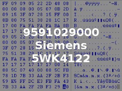 9591029000 Siemens 5WK4122