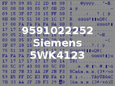 9591022252 Siemens 5WK4123