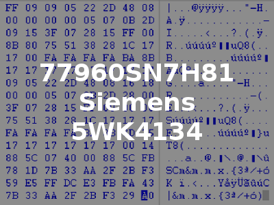77960SN7H81 Siemens 5WK4134