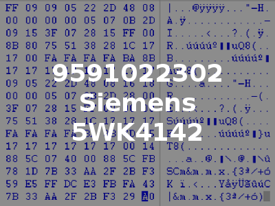 9591022302 Siemens 5WK4142