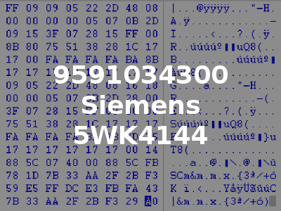 9591034300 Siemens 5WK4144