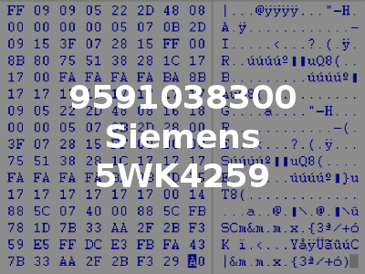 9591038300 Siemens 5WK4259