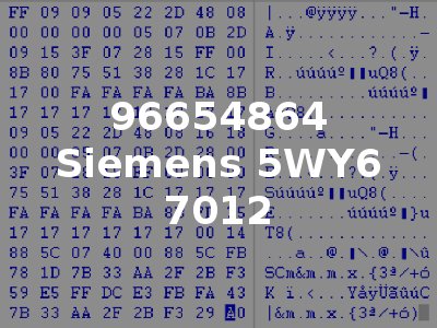 96654864 Siemens 5WY6 7012