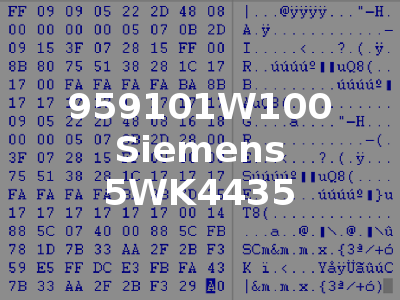 959101W100 Siemens 5WK4435