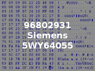 96802931 Siemens 5WY64055