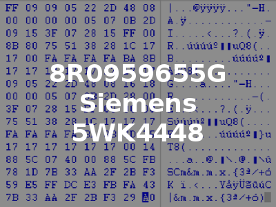 8R0959655G Siemens 5WK4448
