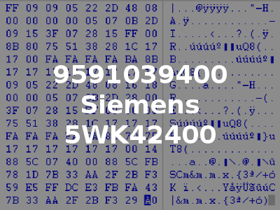 9591039400 Siemens 5WK42400