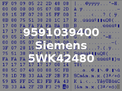 9591039400 Siemens 5WK42480