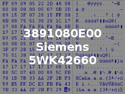 3891080E00 Siemens 5WK42660