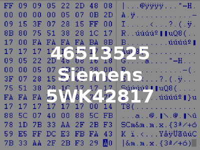 46513525 Siemens 5WK42817