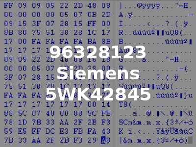 96328123 Siemens 5WK42845