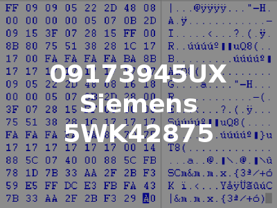 09173945UX Siemens 5WK42875