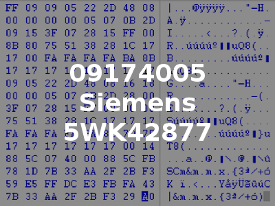 09174005 Siemens 5WK42877