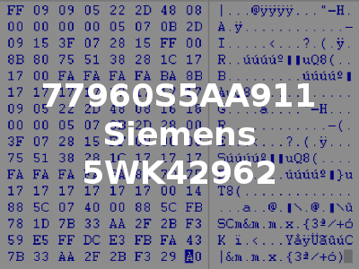 77960S5AA911 Siemens 5WK42962