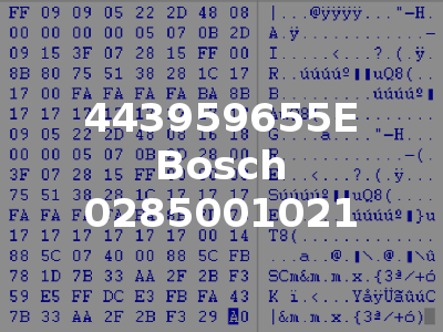 443959655E Bosch 0285001021