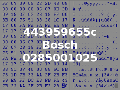443959655c Bosch 0285001025