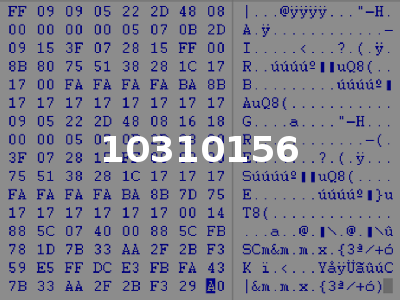 10310156