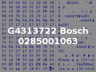 G4313722 Bosch 0285001063