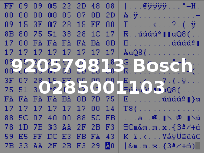 920579813 Bosch 0285001103