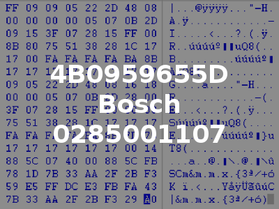 4B0959655D Bosch 0285001107