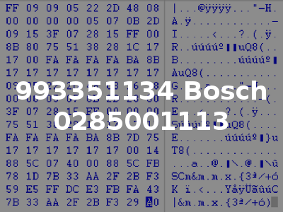 993351134 Bosch 0285001113