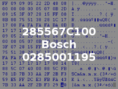 285567C100 Bosch 0285001195
