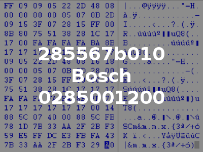 285567b010 Bosch 0285001200