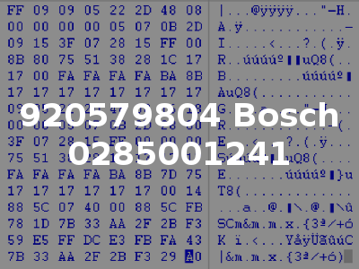920579804 Bosch 0285001241