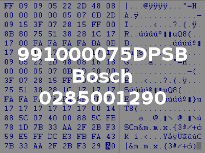 991000075DPSB Bosch 0285001290