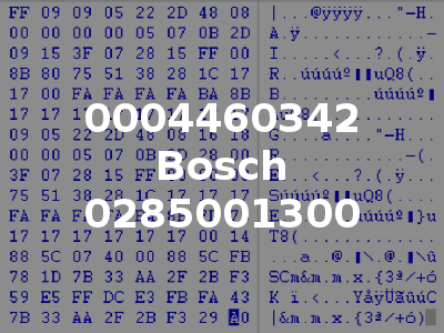 0004460342 Bosch 0285001300