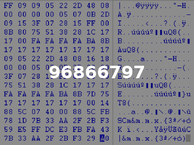 96866797