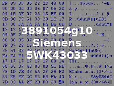 3891054g10 Siemens 5WK43033