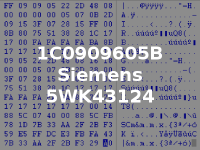 1C0909605B Siemens 5WK43124