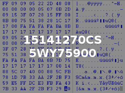 15141270CS 5WY75900