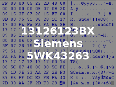 13126123BX Siemens 5WK43263