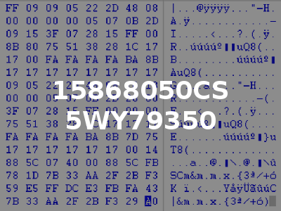 15868050CS 5WY79350