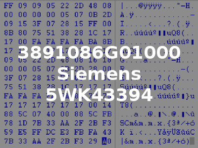 3891086G01000 Siemens 5WK43394