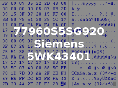 77960S5SG920 Siemens 5WK43401