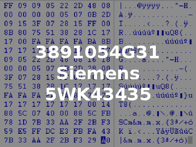 3891054G31 Siemens 5WK43435