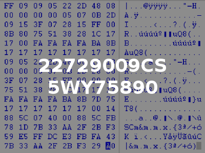 22729009CS 5WY75890