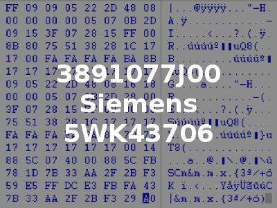 3891077J00 Siemens 5WK43706