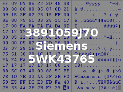 3891059J70 Siemens 5WK43765