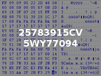25783915CV 5WY77094