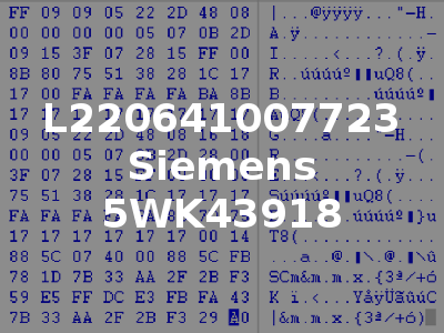 L220641007723 Siemens 5WK43918