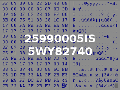 25990005IS 5WY82740