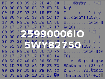 25990006IO 5WY82750