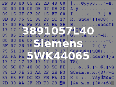 3891057L40 Siemens 5WK44065